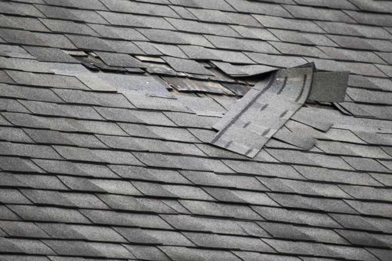 Experienced Roof Repair Specialist