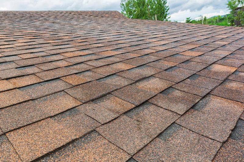 Precision Shingle Replacement