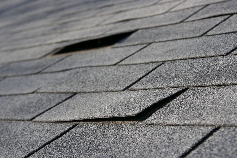 Shingle Repair Process
